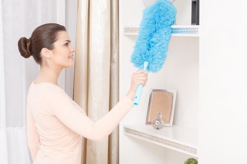 Apartment Cleaning in South Bethlehem, New York